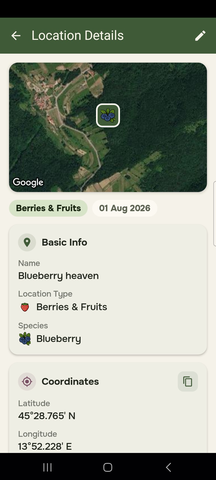 Location details for a spot called Blueberry heaven, with a map preview, its type and species, and its exact coordinates