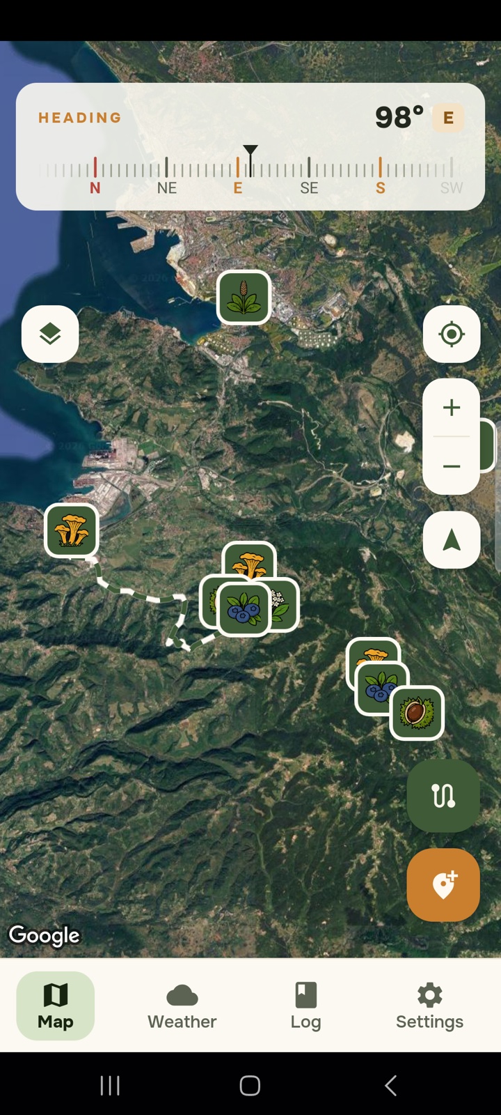 The My Wild Patch map, satellite view, with a compass strip across the top and saved mushroom, berry and chestnut spots marked across a wooded coastline